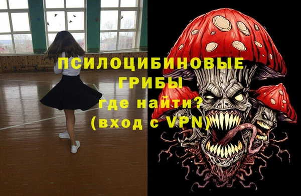 spice Михайлов