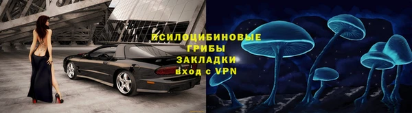 spice Михайлов