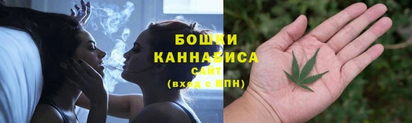 spice Михайлов