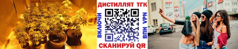 где можно купить наркотик  Томилино  Дистиллят ТГК вейп с тгк 