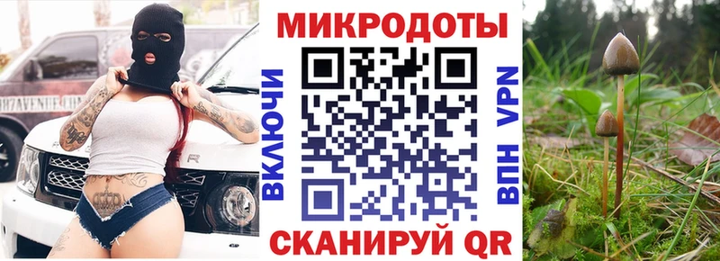 Галлюциногенные грибы Psilocybe  Томилино 